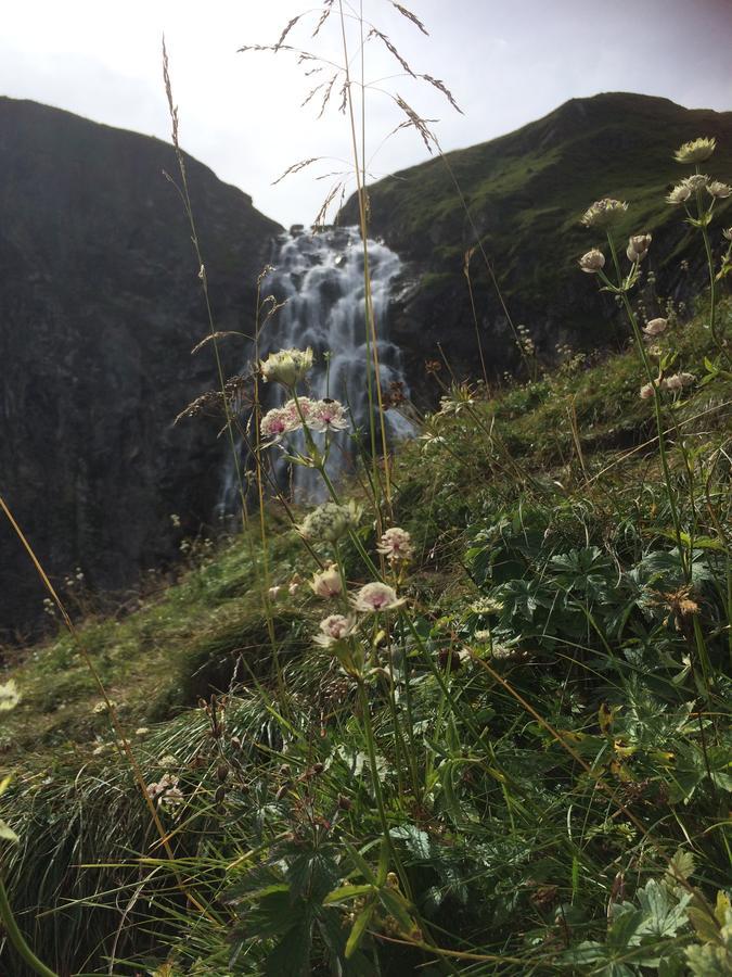 アデルボーデンBergdohleアパートメント エクステリア 写真